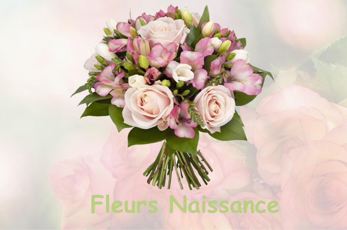 fleurs naissance CHAMPAGNE-SUR-LOUE