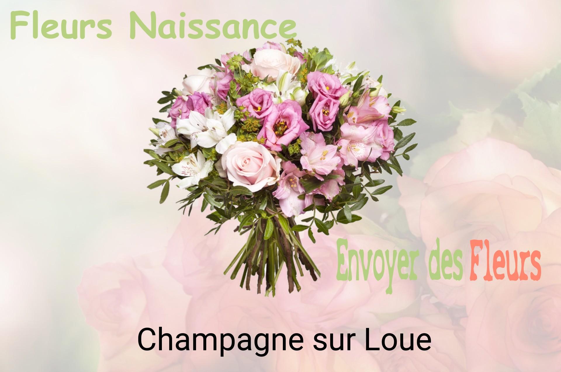 Bouquet de fleurs de naissance livré à Champagne-sur-Loue